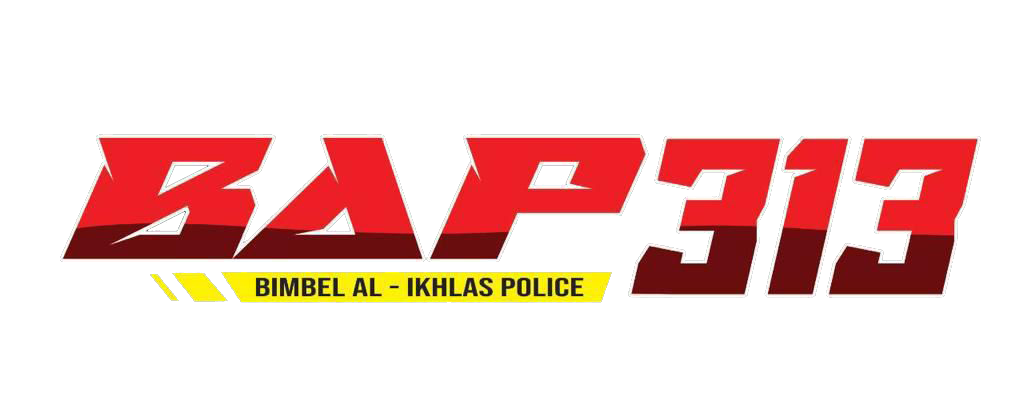 Logo BAP313